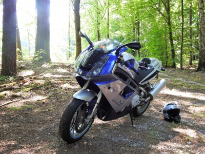 kaum zu sehen der kleine Waldsee im Hintergrund